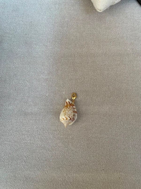 Charm Caracola Natural con Mosquetón Dorado